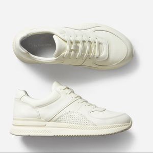Everlane The Trainer Leather Sneaker